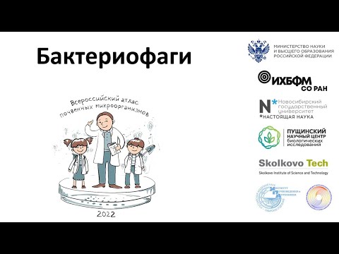 Видео: Бактериофаги