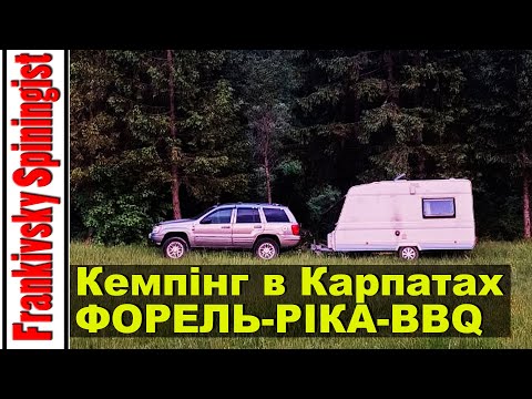 Видео: Кемпінг в Карпатах: Рибалимо форель і готуємо смачну вечерю на вогні! 4K