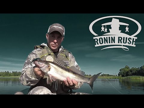 Видео: И снова Ronin Rush!  Джиг на Волге летом