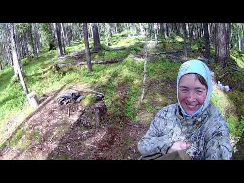 Видео: За хариусом на Вашку.