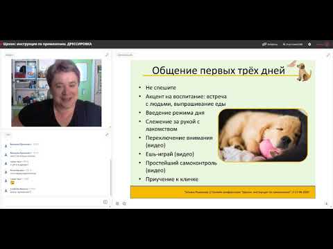 Видео: 4 Щенок  дрессировка