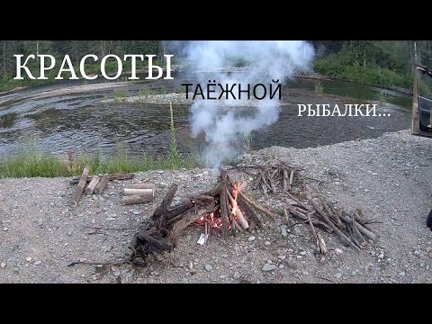 Видео: Отличная ходовая рыбалка и отдых на красивой таёжной реке!#нахлыст #рыбалка2024