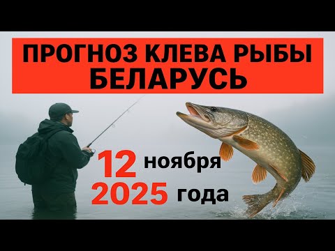 Видео: ПРОГНОЗ КЛЁВА в Беларуси на 12 ноября 2025 года: Бросай все и на рыбалку!