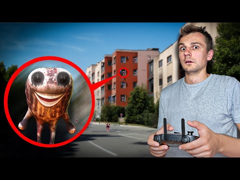 Видео: Ангелина в ЛОВУШКЕ ! Что за АНОМАЛИЯ! Лягушки Zoonomaly