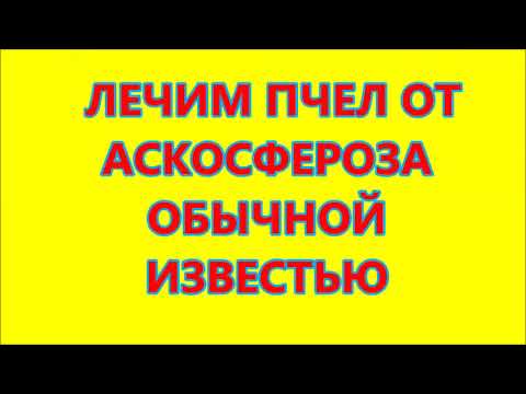 Видео: ЛЕЧИМ ПЧЕЛ ОТ АСКОСФЕРОЗА ОБЫЧНОЙ ИЗВЕСТЬЮ