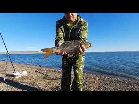 Видео: Осенняя рыбалка на сазана часть 2
