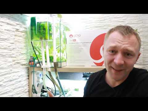 Видео: Бренды или нонейм