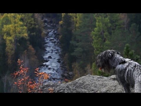 Видео: В путь-палатку - Скальник Витязь / Выпуск 6