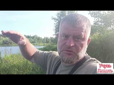 Видео: Рыбалка на реке Нерль. Фидер и ловля на живца.