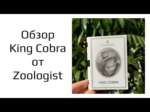 Видео: Первый обзор King Cobra от Zoologist!Невероятная Кобра!