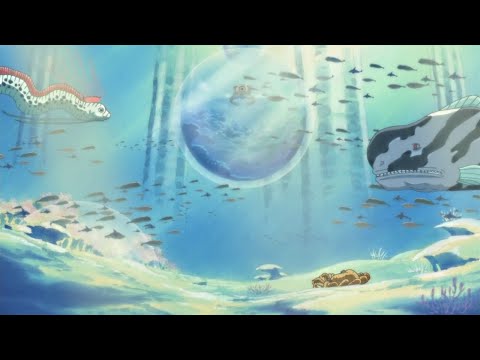 Видео: Местонахождение деревьев Адам и Ева. "Ван Пис" теория