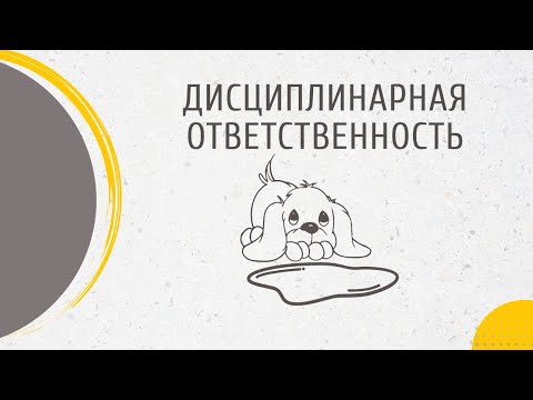 Видео: Дисциплинарная ответственность
