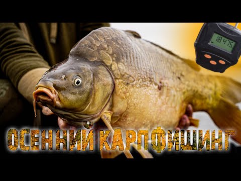 Видео: РЫБАЛКА НА КАРПА ПОЗДНЕЙ ОСЕНЬЮ. Так ли хороши СПЕЦИИ по холодной воде, как их хвалят?! Часть II