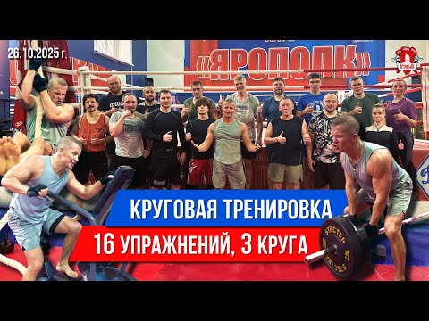 Видео: БЕСПЛАТНАЯ КРУГОВАЯ ТРЕНИРОВКА на ВЫНОСЛИВОСТЬ в клубе ЯРОПОЛК / 16 УПРАЖЕНИЙ и 2 КРУГА, 26.10.2025