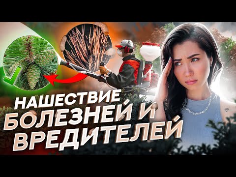 Видео: САМЫЕ ЭФФЕКТИВНЫЕ удобрения для растений!