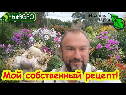 Видео: ЗАПРАВКА ПОЧВЫ ПОД ЧЕСНОК: превратите любую землю в рай для чеснока за 5 минут!