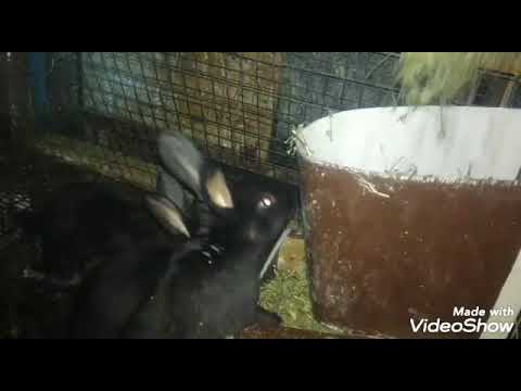 Видео: КАК СДЕЛАТЬ СЕНОРЕЗКУ СУПЕР ПРОСТУЮ И ДЕШЁВУЮ!!!