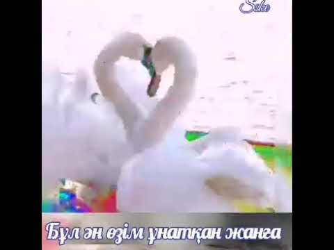 Видео: Қиялдағы қалқа