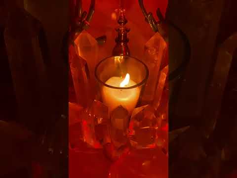 Видео: 👺Narc сталкивается с последствиями 4🤑Предательство группы, с которой они работали, предает их🔄‼️🚨🧹⚖️