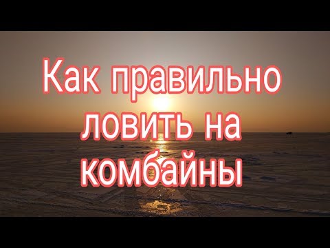 Видео: КАК Я ЛОВЛЮ НА КОМБАЙНЫ.         #жекарыболов #комбайны