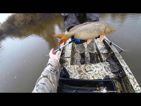 Видео: Опять фартануло. Сазаны и щуки не дали нам скучать.