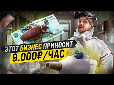 Видео: Как ЗАРАБОТАТЬ НА ДЕЗИНСЕКЦИИ в 2024. Работа на себя БЕЗ КРЕДИТОВ. Бизнес с нуля