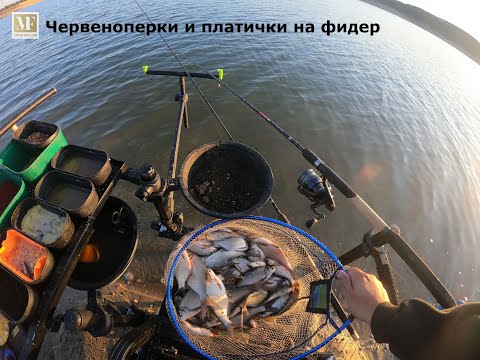 Видео: Feeder fishing / Фидер риболов на яз.Копринка