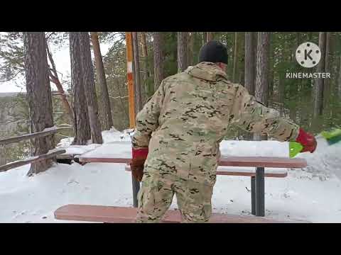 Видео: Зимняя тайга.