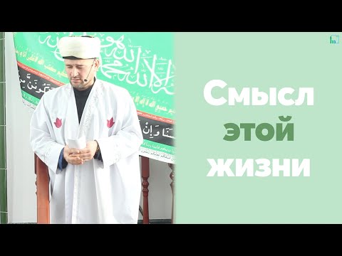 Видео: Смысл этой жизни