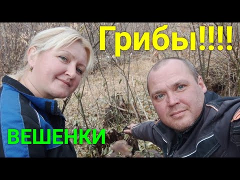 Видео: Слабонервным грибникам не смотреть! Грибы2021 года!