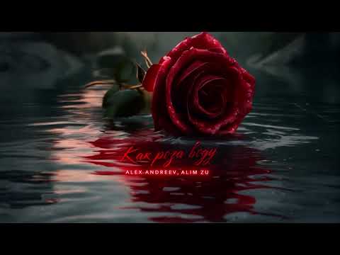 Видео: ALEX ANDREEV , ALIM ZU - Как Роза воду  | Премьера трека 2024