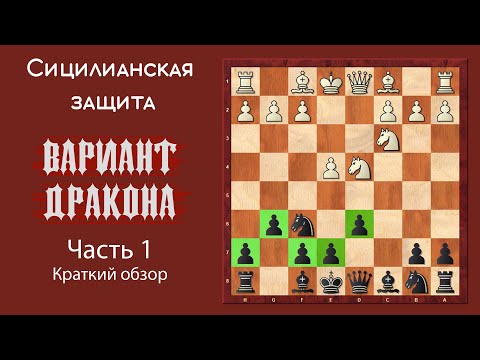 Видео: Сицилианская защита. Вариант Дракона (часть 1). Краткий обзор