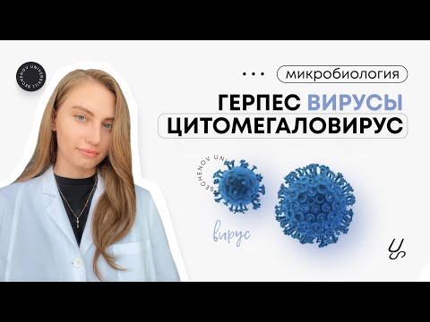 Видео: Микробиология | Герпесвирусы. Цитомегаловирус.