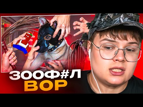 Видео: КАША СМОТРИТ - ЗООФИЛЬСКИЙ ВОР В ЗАКОНЕ - СУВОРОВ И КРАЖА СОБАКИ АРКАДИЯ 🤮