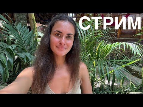 Видео: Полялякаем?