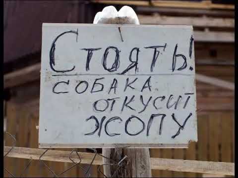 Видео: Смешные надписи, объявления и многое другое.