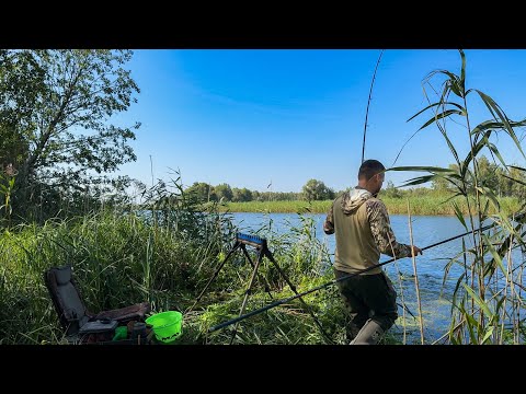 Видео: На такому ДИКАРІ я ще не був 