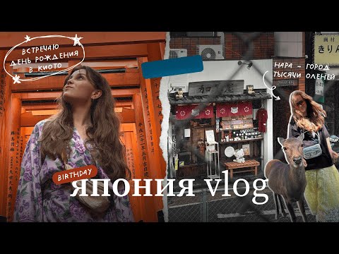 Видео: ЯПОНИЯ ВЛОГ | Киото, парк оленей в Наре и мой день рождения