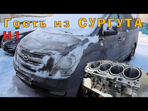 Видео: H1: Гость из Сургута!