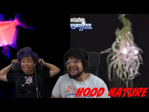 Видео: Сборник Disturbing Hood Nature с участием Чавезза