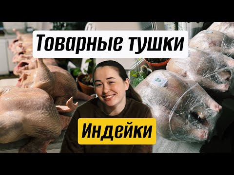 Видео: Забой индюков: как сделать красивую тушка ?