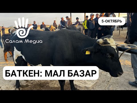 Видео: Баткен мал базары 5 октябрь