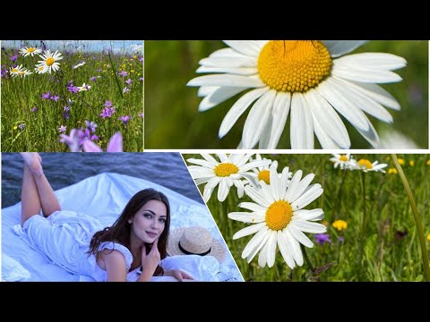 Видео: 🛍️Покупки с Вайлдбериз🛍️вкусняшки🥰средства для уборки🧹делаю маску☘️откровенный разговор👐#вайлбериз