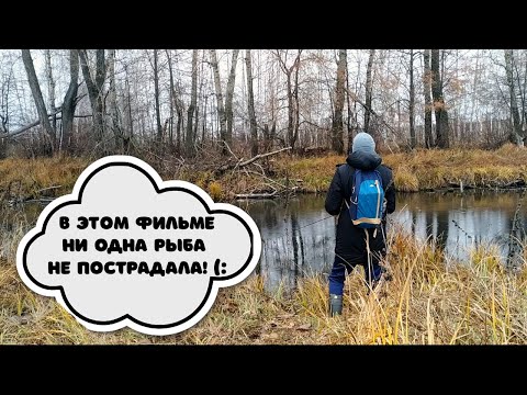 Видео: ГДЕ ПОЛОВИТЬ#3 р.Тавровка. Прогулка со спинингом по красивой речушке