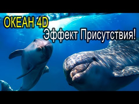 Видео: Звук Океана, песни Дельфинов и Китов. 432Гц +4d \ REAL Ocean sound, Dolphins & Whales, 432Hz + 4d