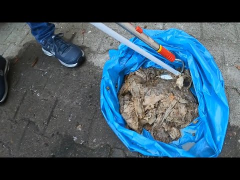 Видео: Kempinger 348. Повседневное безумие с влажными салфетками продолжается. Компания была там дважды.