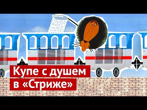 Видео: Купе с душем в "Стриже"