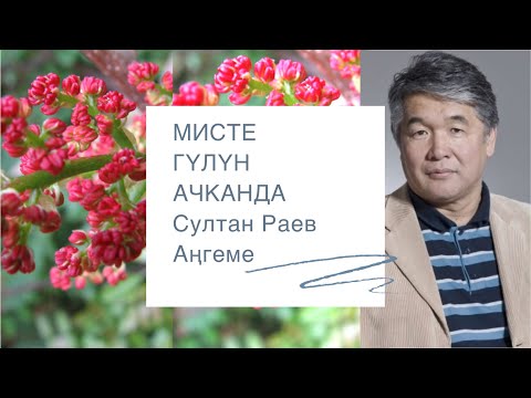 Видео: Султан Раев | Мисте гүлүн ачканда | аудио китеп