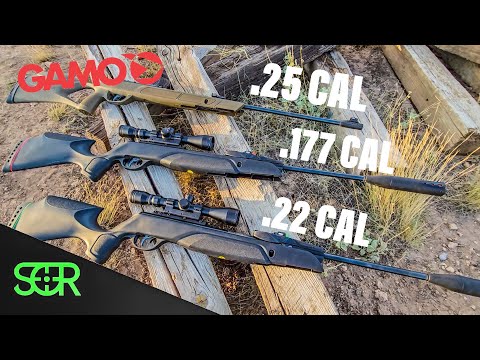 Видео: .177 против .22 против .25 — ТЕСТ GAMO POWER!