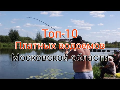 Видео: Мисайлово Trout. ТОП-10 Платных водоемов Московской области. #мисайловоtrout